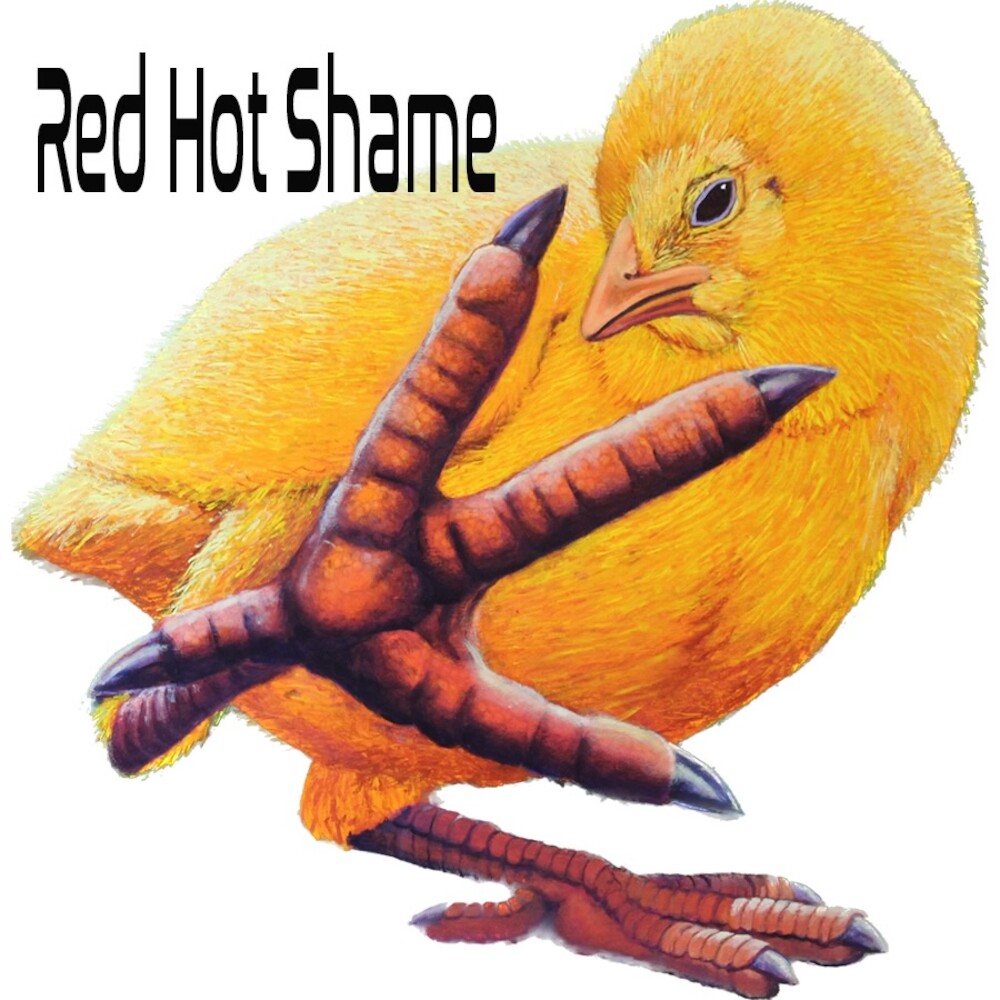 rozhovor s Red Hot Shame